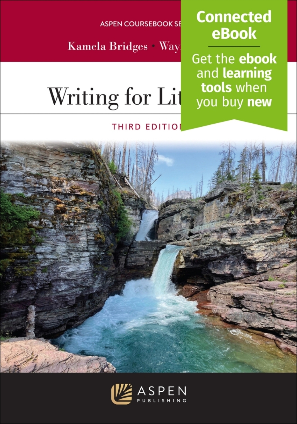 Writing for Litigation [Connected eBook] 3rd Edition â€“ PDF/EPUB Version Downloadable
